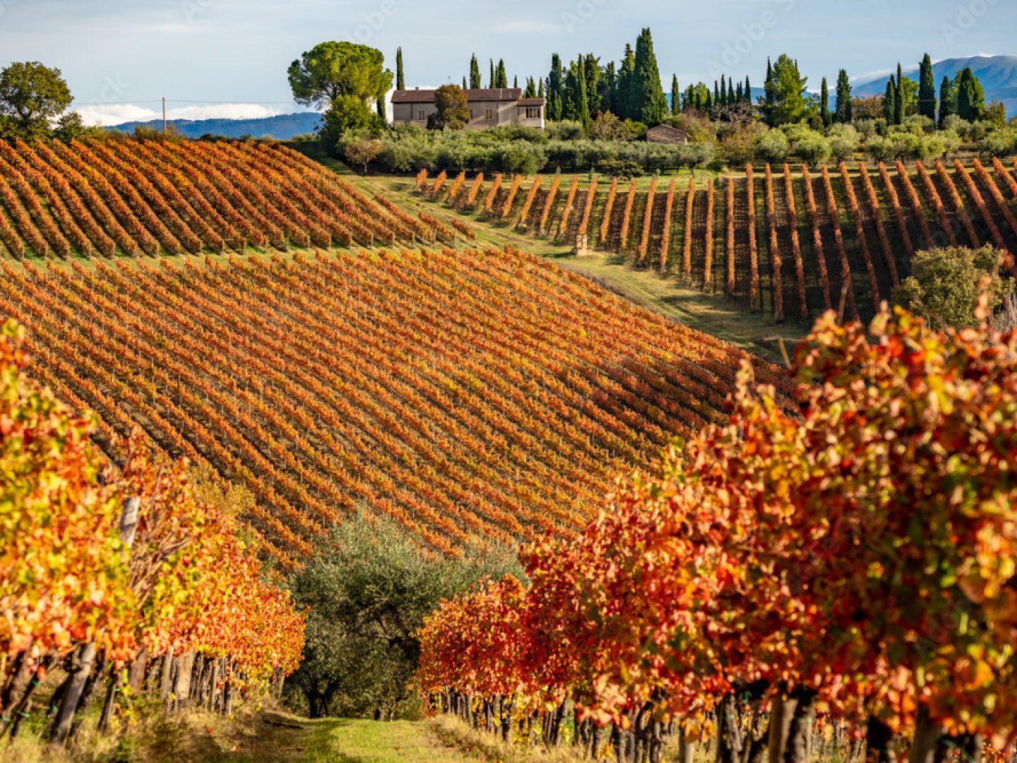Discover Assisi - Palazzo Sbaraglini - Assisi, Umbria