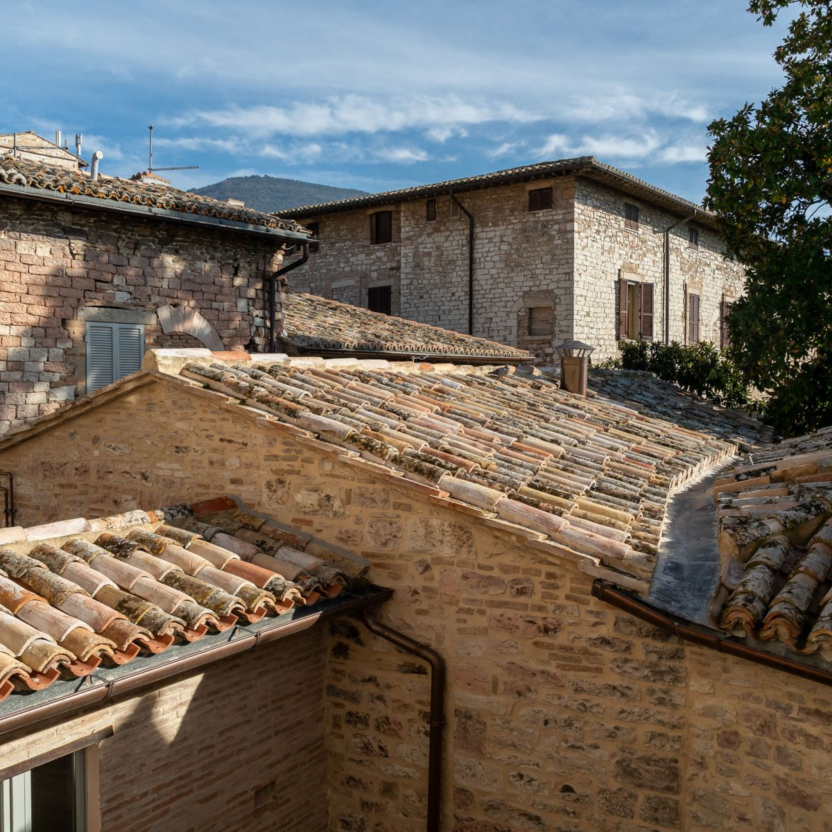 Franciscan Heritage - Palazzo Sbaraglini