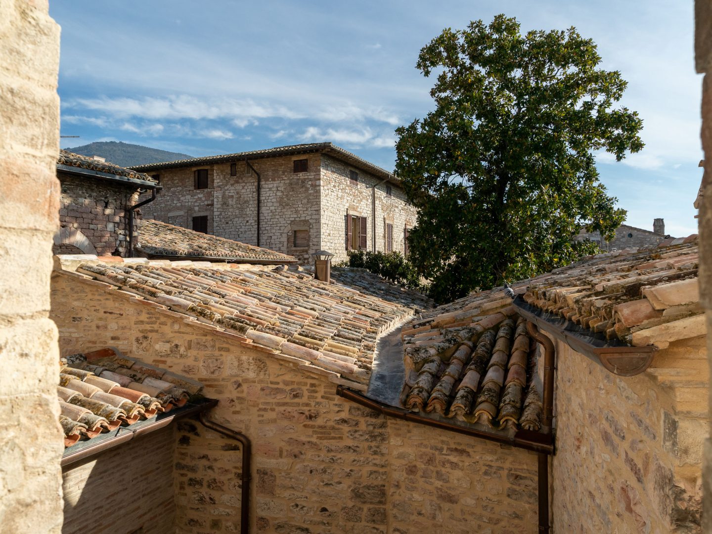 Experiences - Palazzo Sbaraglini - Assisi, Umbria