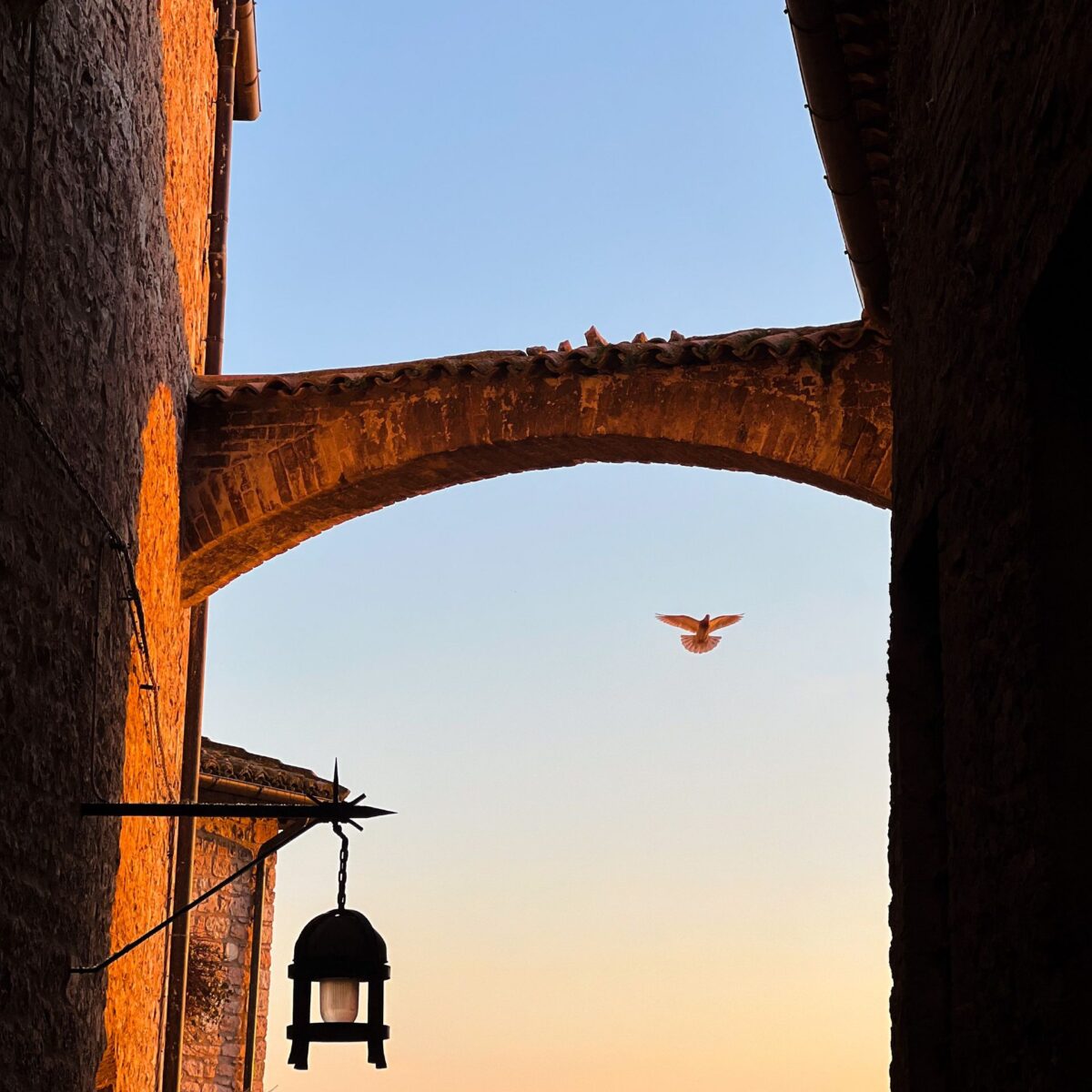 FIRST LIGHT - Palazzo Sbaraglini - Assisi